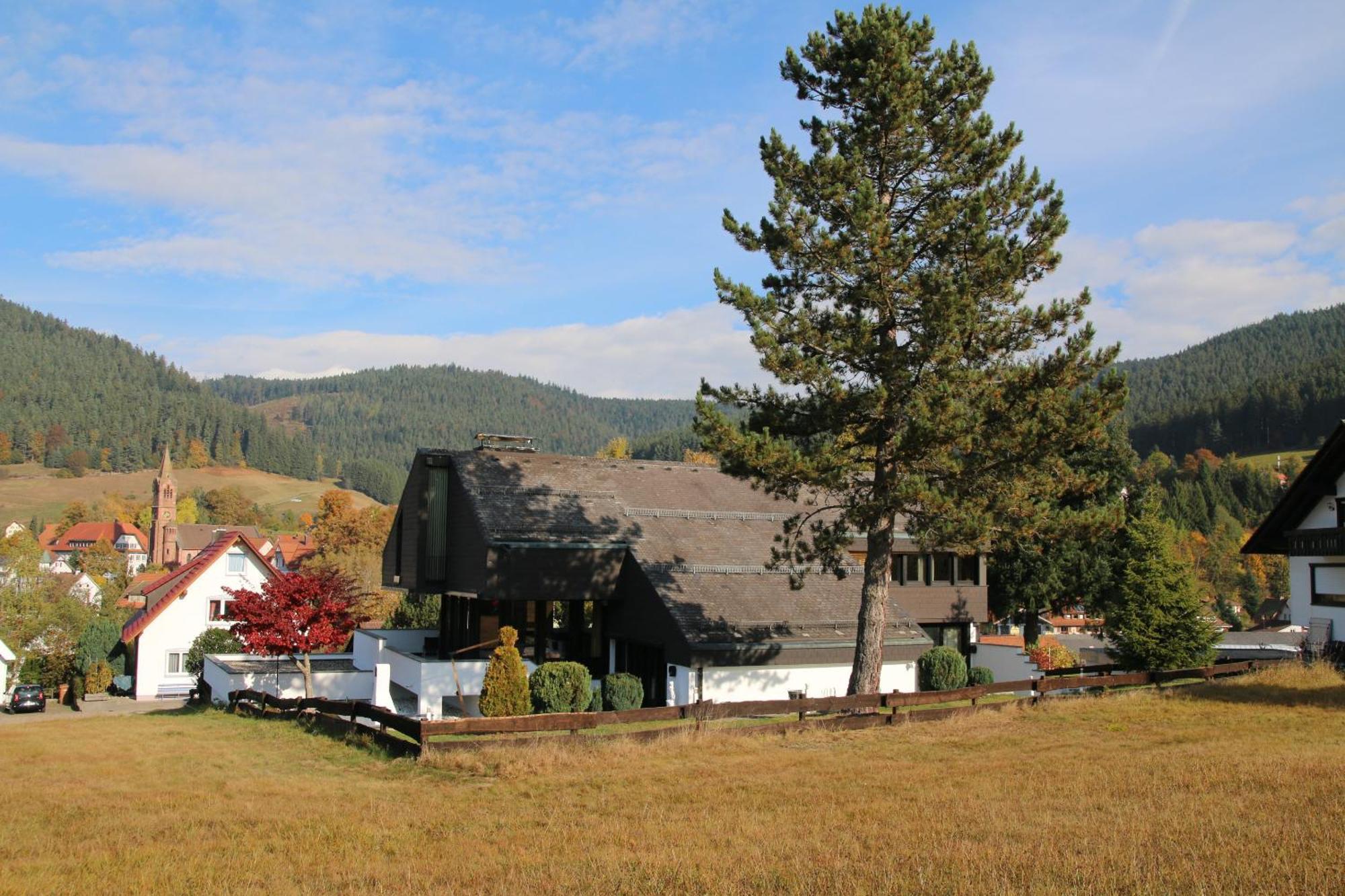 Luxus-Landhaus Im Schwarzwald/Baiersbronn Mit Pool Exterior photo