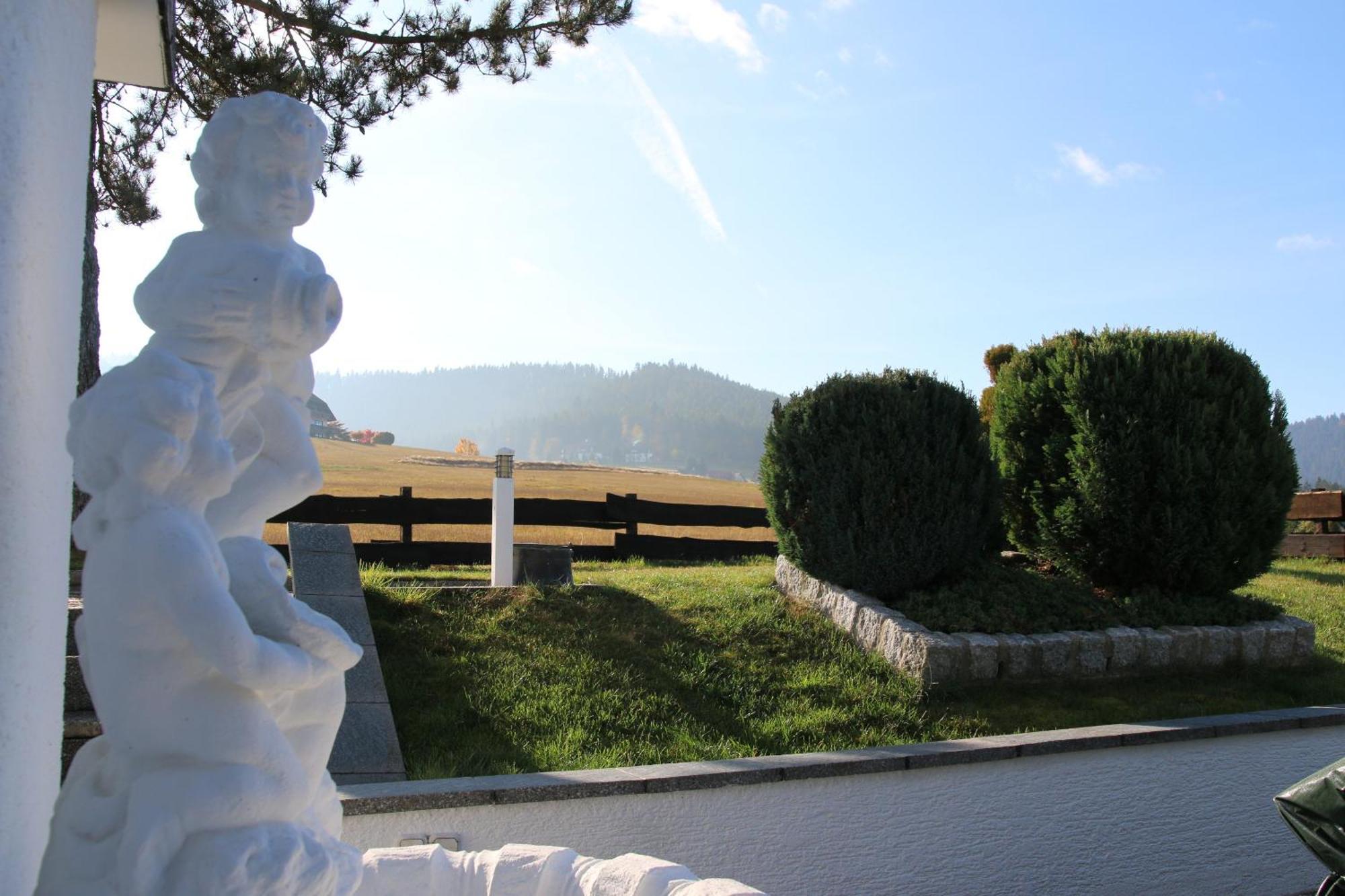 Luxus-Landhaus Im Schwarzwald/Baiersbronn Mit Pool Exterior photo
