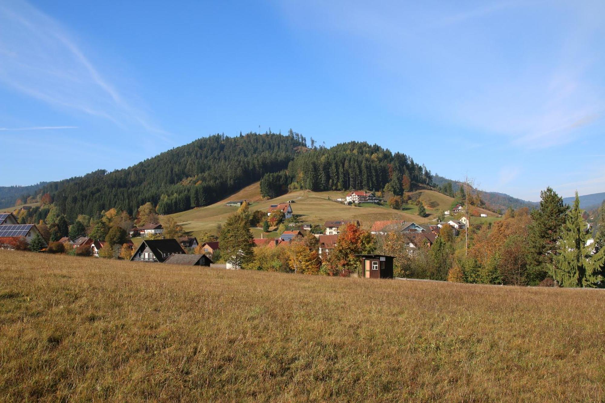 Luxus-Landhaus Im Schwarzwald/Baiersbronn Mit Pool Exterior photo